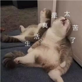 微信圖片_20180807151246.jpg