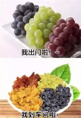 微信圖片_20180809161836.jpg