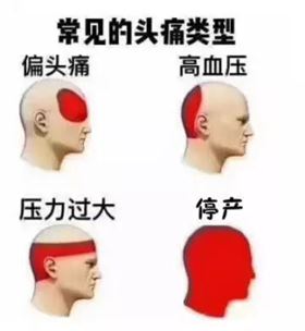 微信圖片_20180809161841.jpg