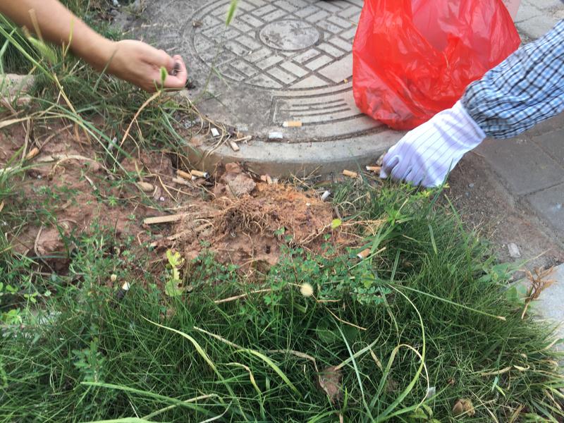 深聯PCB廠號召大家不要隨手丟垃圾，共同盡力守護我們的家園