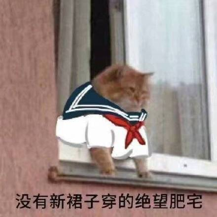 1650438072.jpg