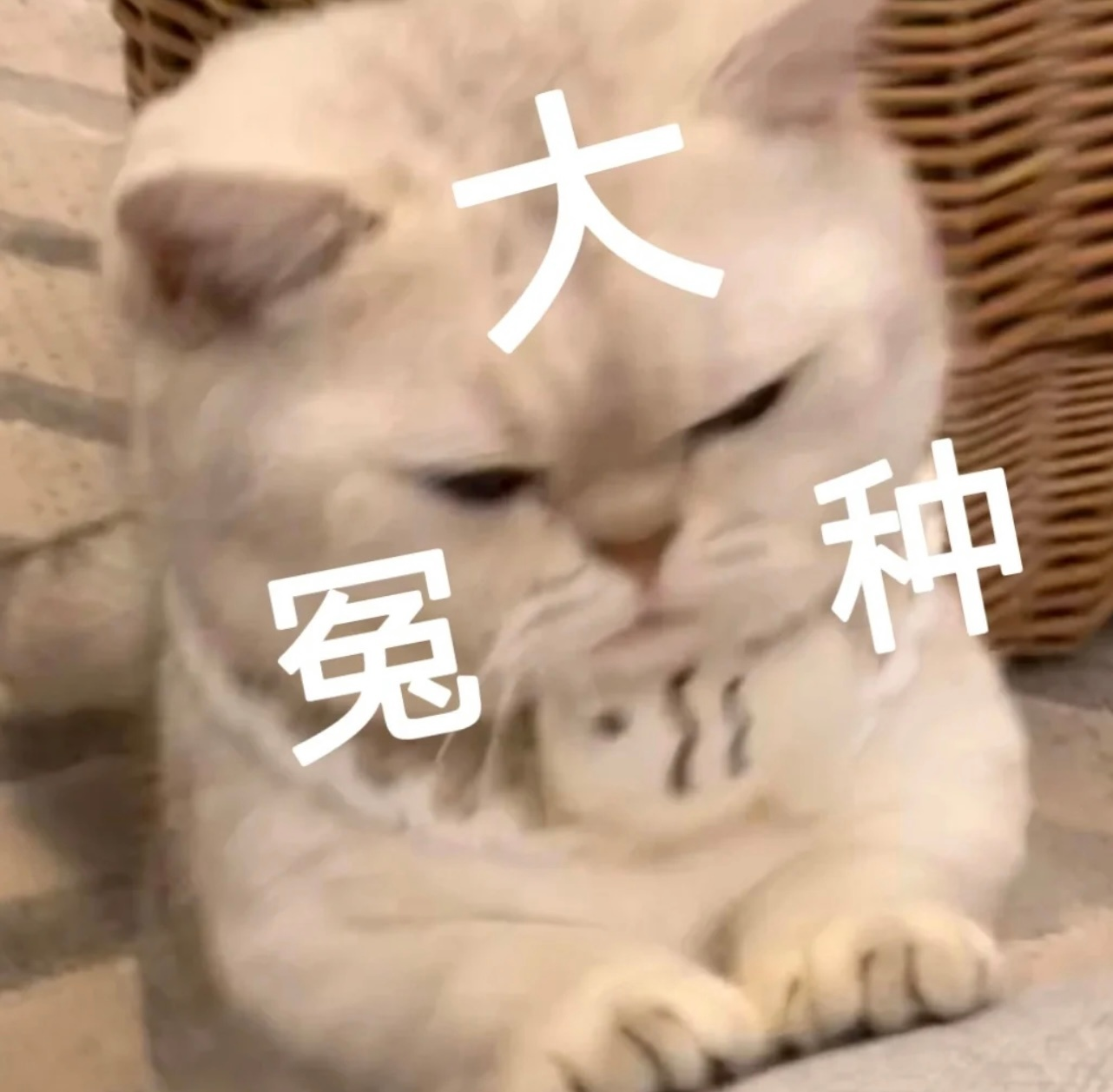 企業微信截圖_16711804294889.png